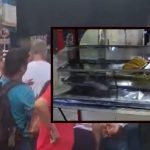 Rats walk through the windows of a fried food sale in Barranquilla