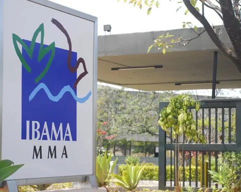 Registration for 460 Ibama competition vacancies are open