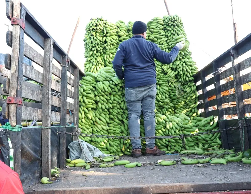 El arroz y el guineo tuvieron alzas en noviembre pasado