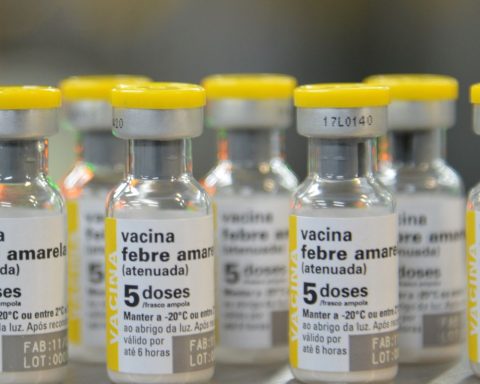 São Paulo confirms first case of yellow fever in humans in 2025