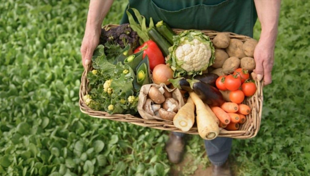 El índice de precios de alimentos de 2024 estuvo un 2,1% por debajo de su promedio de 2023, según la FAO    