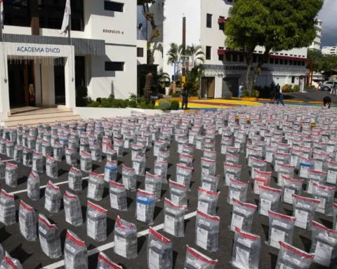 The 9.8 tons of coca arrived through Bayahibe, La Romana and Pedernales