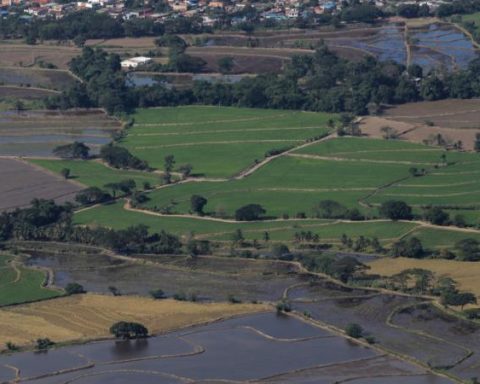 They decree protection of agricultural and food activities in Catatumbo