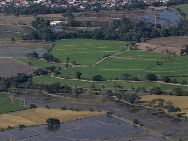 They decree protection of agricultural and food activities in Catatumbo