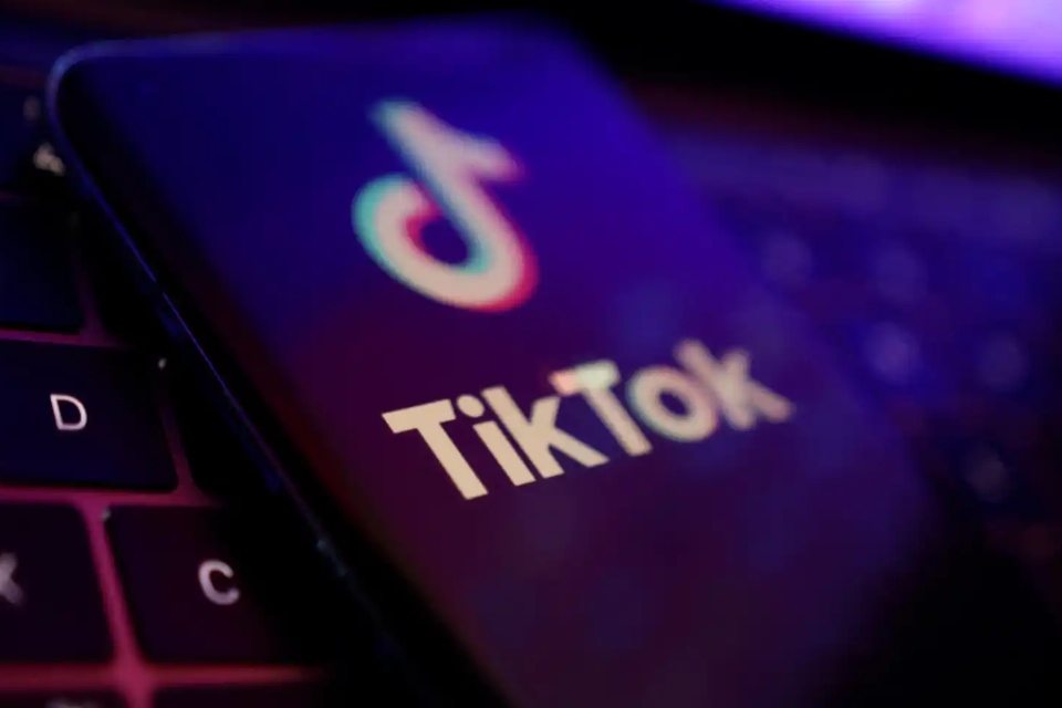 TikTok puts its hopes in Trump to return to the US