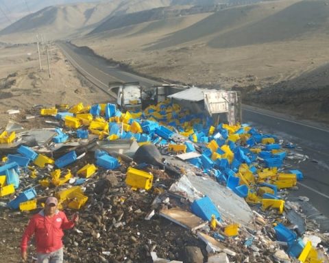 Truck with 18 tons of fish that was being transported to Lima overturns