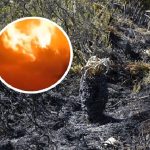 Incendio forestal en el Parque Natural Chingazá.