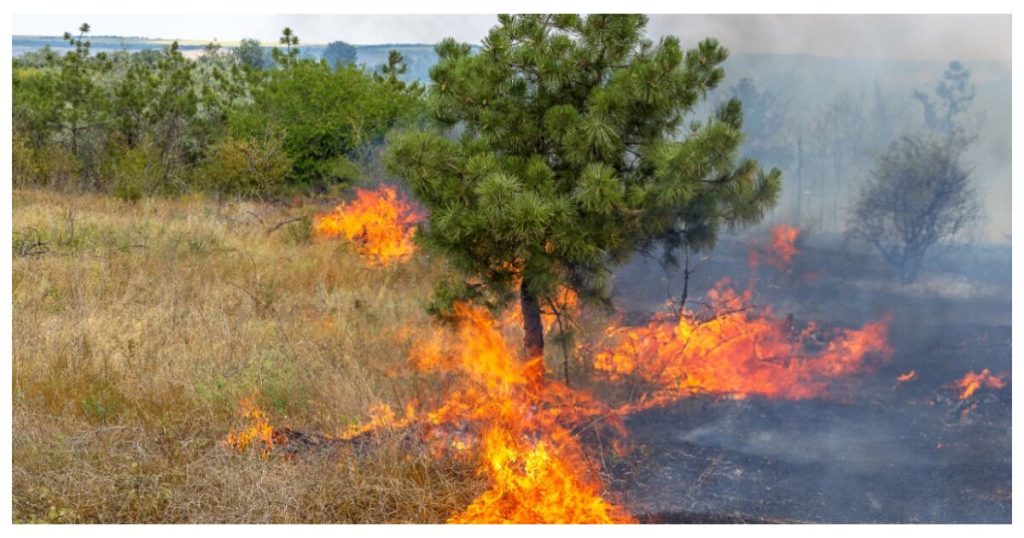 What are the Santa Ana winds that hit Baja California?