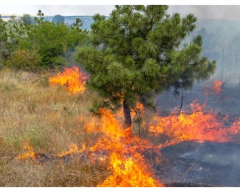 What are the Santa Ana winds that hit Baja California?