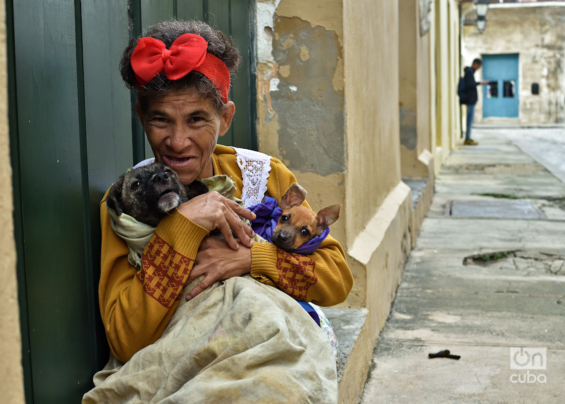 Winter Havana