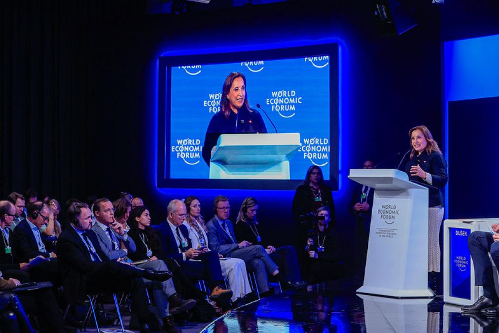 With which heads of state and businessmen did Dina Boluarte meet at the Davos 2025 forum?