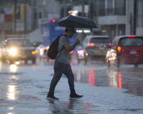 ¿Quién es Yeni Berenice Reynoso, la nueva procuradora general dominicana?