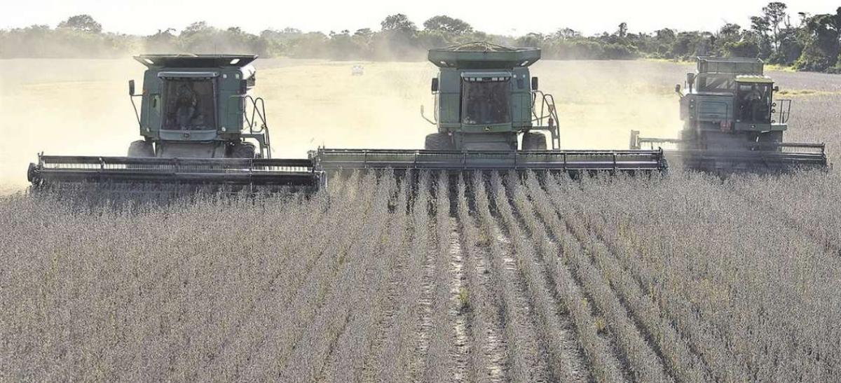 Anapo ask that soybean export and CadEx be reactivated, it is an "extortion" measure