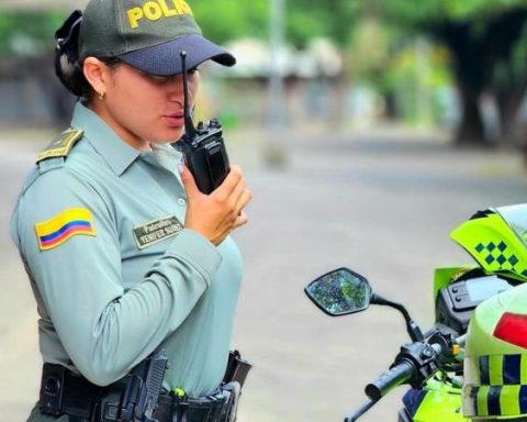 Are you looking for a job in Colombia? These are the requirements to be a police assistant