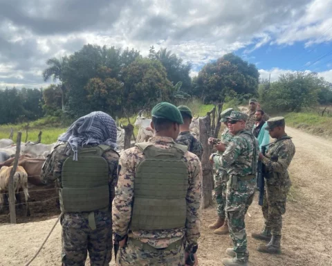 Ejército recupera ganado robado y decomisa cigarrillos en la frontera