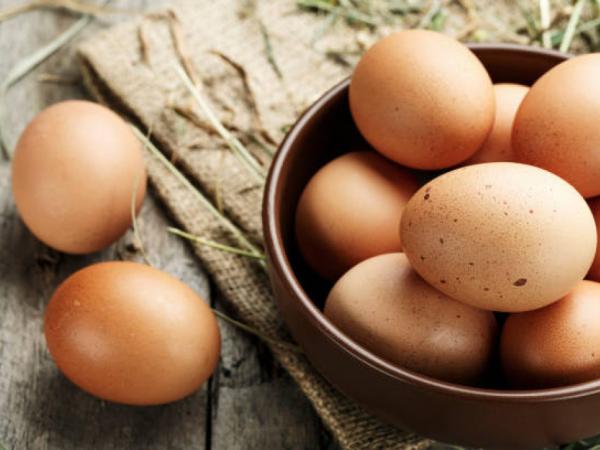 Can you spread from avian flu through eggs? Experts respond
