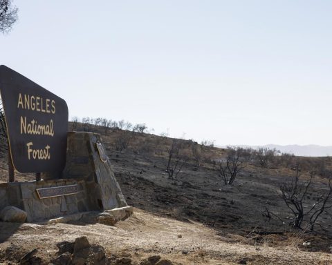 Completely extinguished forest fires of Los Angeles after three weeks