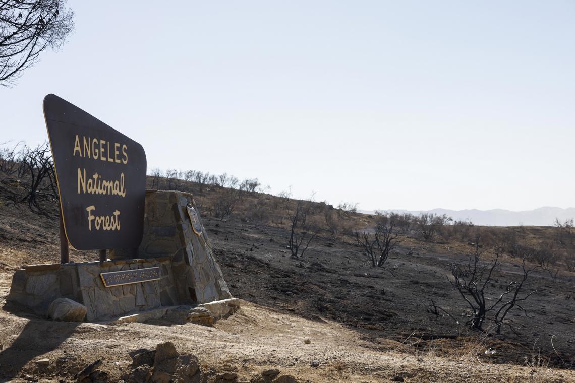 Completely extinguished forest fires of Los Angeles after three weeks