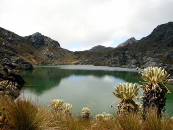 Court confirmed guardianship ruling against Minister of Environment for Santurban