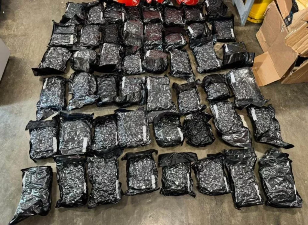 DNCD confisca 57 marijuana packages in the Aila