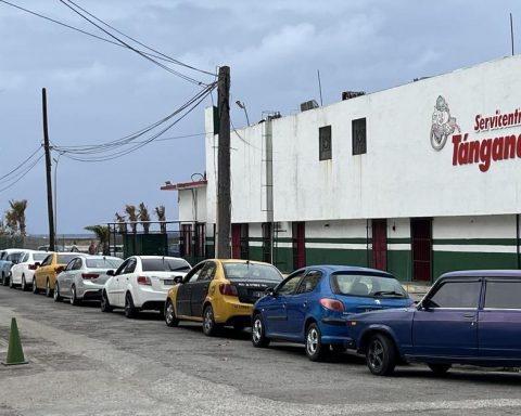 Dollar vs. Weight: more queues and less supply in sales of special gasoline in currency