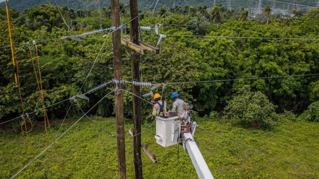 ETED will work on the 69 kV 15 line of Azua - Quita Coraza, this Friday