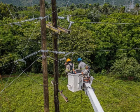 ETED will work on the 69 kV 15 line of Azua - Quita Coraza, this Friday