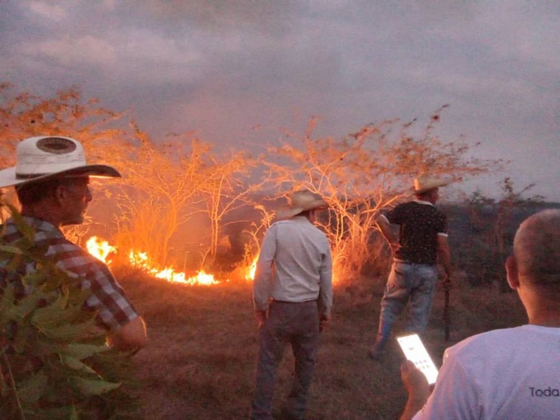 Fire endangers a photovoltaic solar park in Sancti Spíritus
