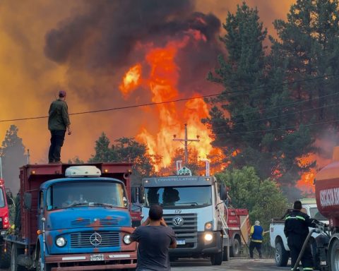 Fire in Argentine Patagonia have consumed more than 36 thousand hectares