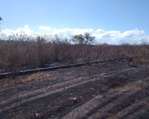 Fire in Matanzas: immense column of smoke, although without damage to residents or oil industry