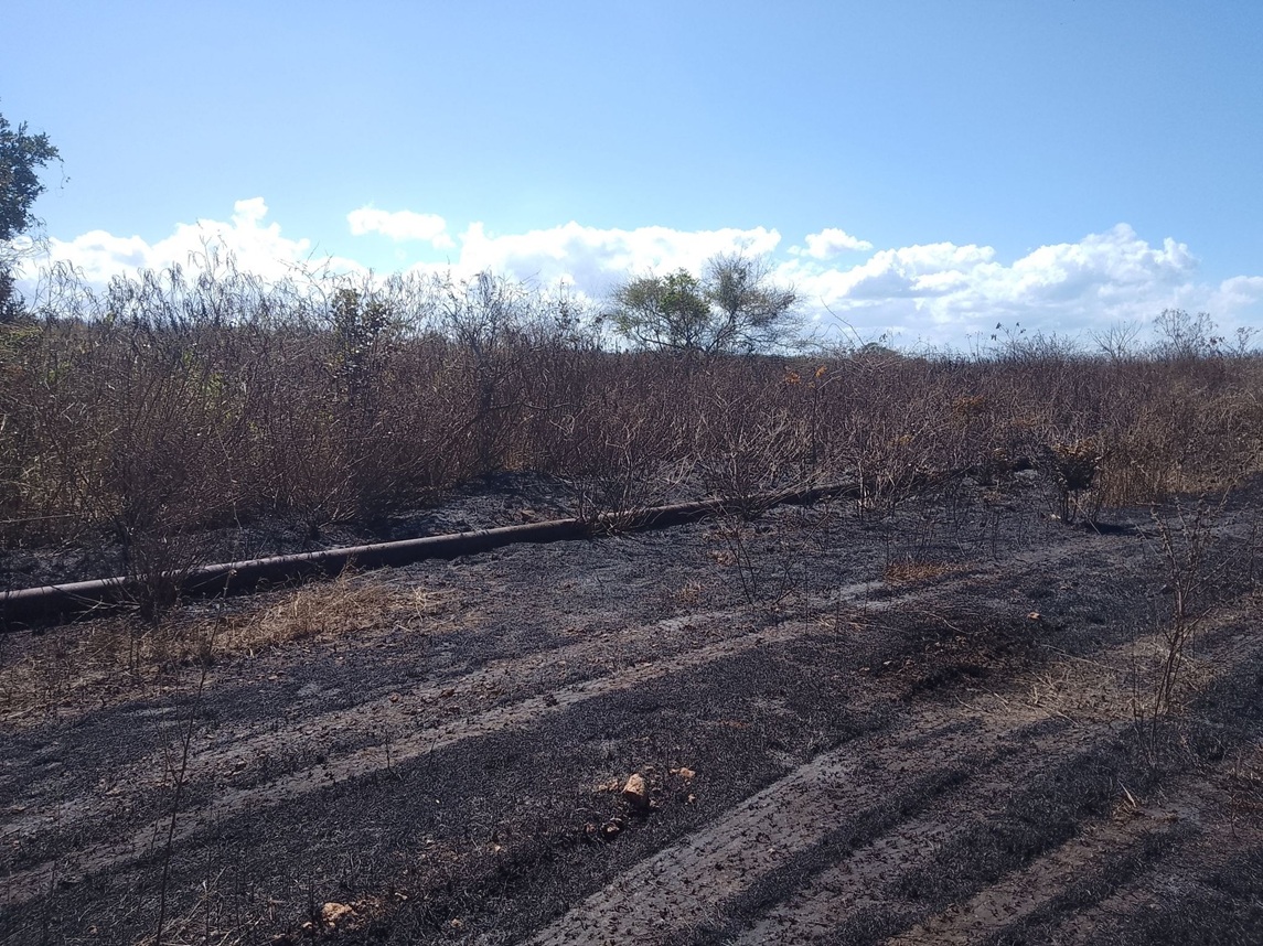 Fire in Matanzas: immense column of smoke, although without damage to residents or oil industry