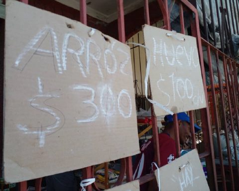 Government announces more price stops, new electrical rates and other economic measures