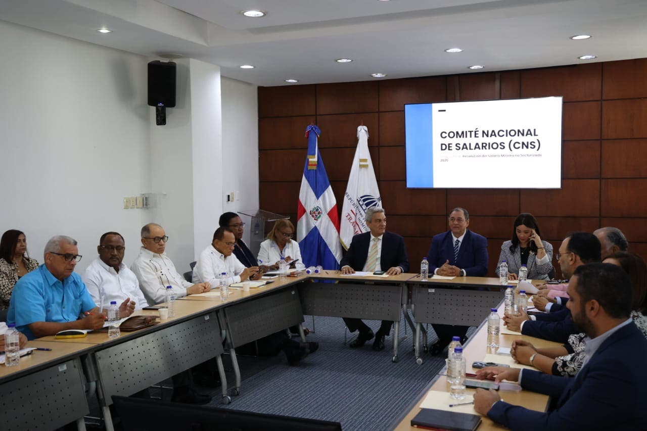 En fotos: La reunión del Comité Nacional de Salarios