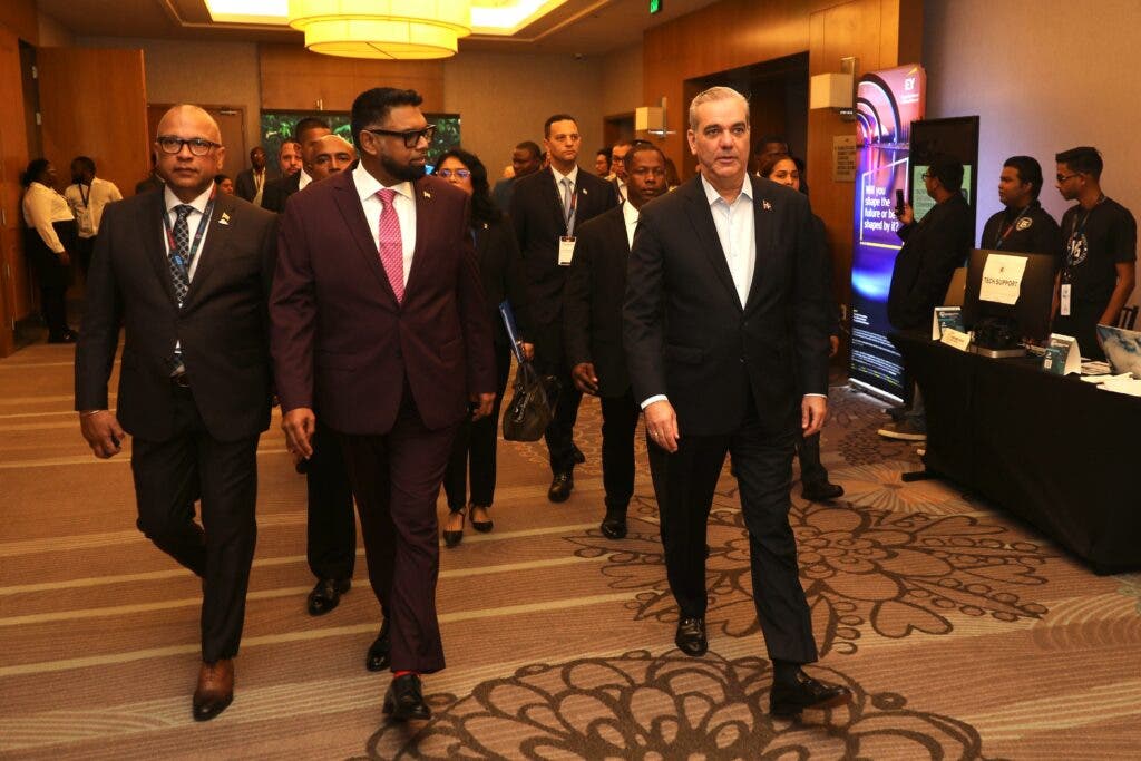 Luis Abinader details the advances of energy agreements with Guyana