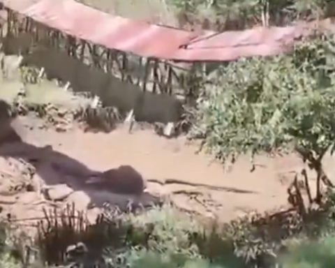 Pedestrian bridge in Chachapoyas collapse after increased the flow of the Guabayacu River (video)