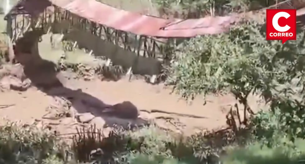 Pedestrian bridge in Chachapoyas collapse after increased the flow of the Guabayacu River (video)