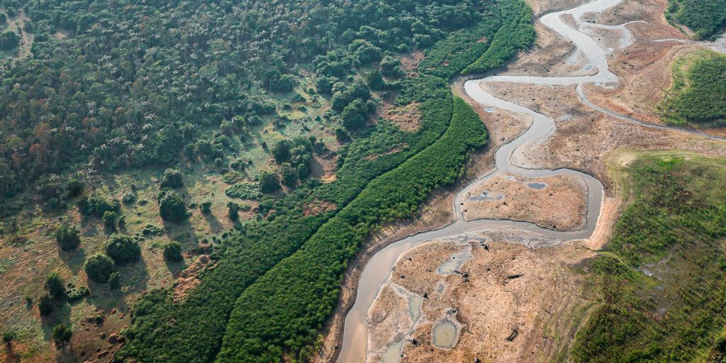 Research with bacteria in the Amazon can develop new medicines