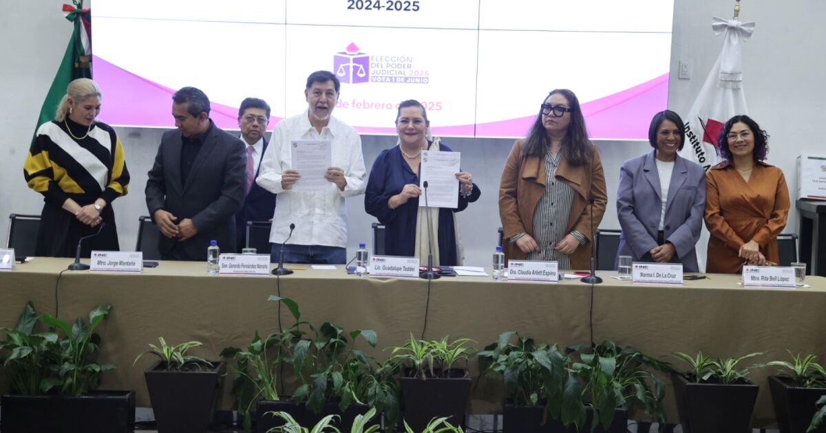 Senate delivers to the INE the list of candidates for judicial charges