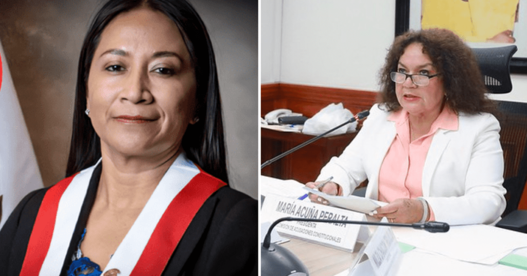 Subcommission of constitutional accusations blinda Congressman Rosio Torres and Archiv