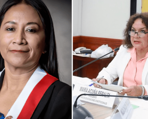 Subcommission of constitutional accusations blinda Congressman Rosio Torres and Archiv