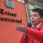 TC declared inadmissible Habeas Corpus appeal that sought to free Pedro Castillo