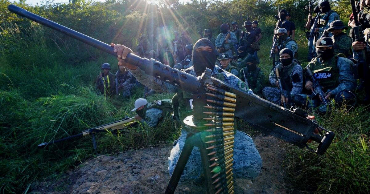 Terrorist cartels: in Fentanilo EU traffic does not distribute the fault well