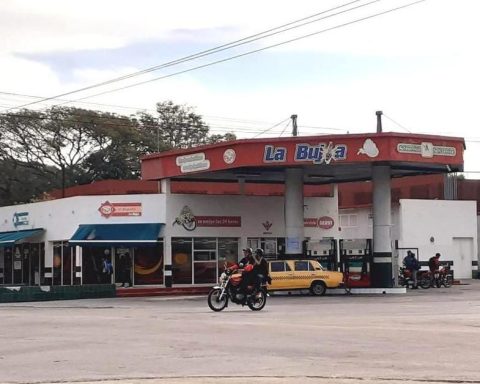 They arrest the mayor of Manzanillo for their link with the theft of fuel
