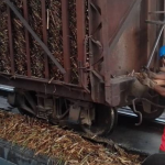 They distribute sugar donated by Brazil in the wineries, while the harvest is very lousy in Cuba