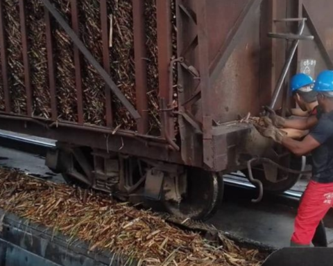 They distribute sugar donated by Brazil in the wineries, while the harvest is very lousy in Cuba