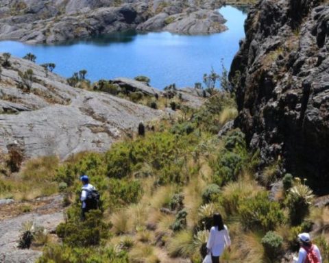 They open contempt against mining for delays to delimit the Santurbán Páramo