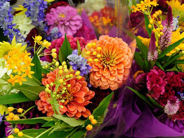 This is the 'most coveted' Colombian flower in the world