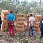 Two people stopped after seizing wood in Atapirire de Anzoátegui