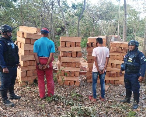 Two people stopped after seizing wood in Atapirire de Anzoátegui