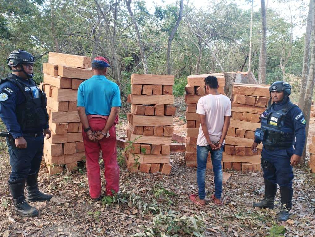 Two people stopped after seizing wood in Atapirire de Anzoátegui